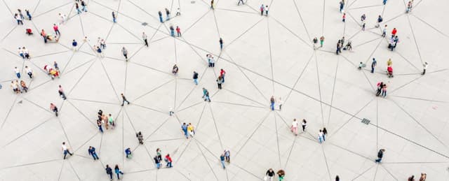 Determining Sample Size: How Many Survey Participants Do You Need?