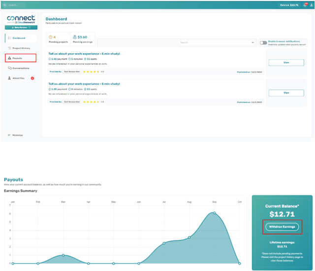 Connect Payouts Center showing account balance and Withdraw Earnings button