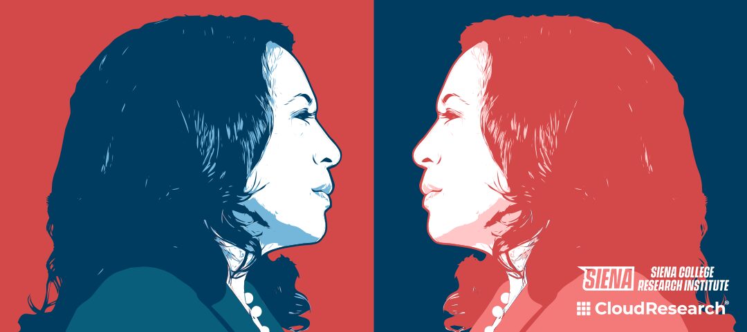 Who Is Kamala Harris? Deeper Insights Into the Persuadables Who Will Decide the 2024 Election